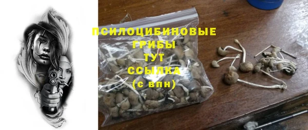 молекула духа Богданович