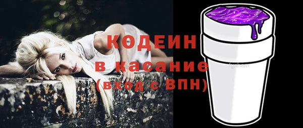 молекула духа Богданович