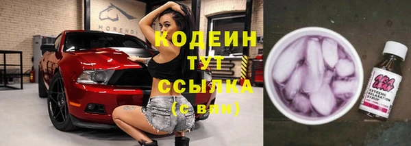 молекула духа Богданович