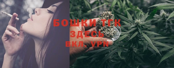 молекула духа Богданович