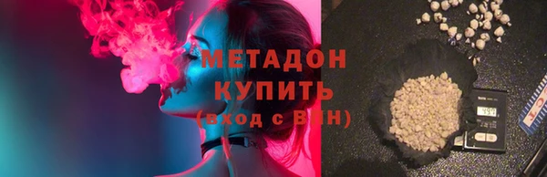 молекула духа Богданович