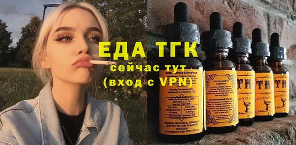 молекула духа Богданович