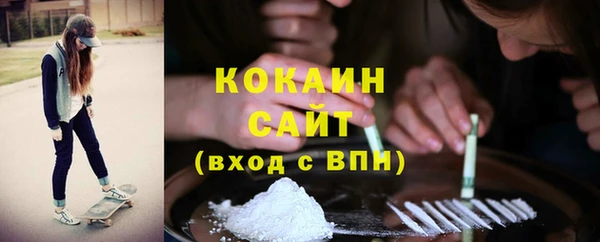 молекула духа Богданович