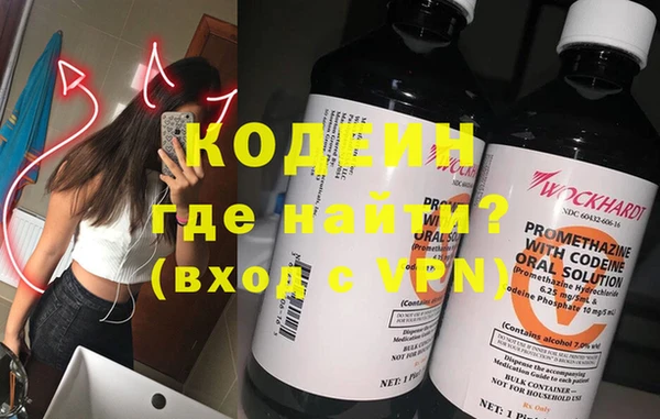 молекула духа Богданович