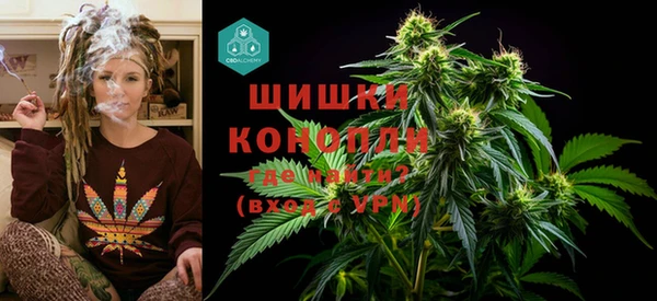 молекула духа Богданович