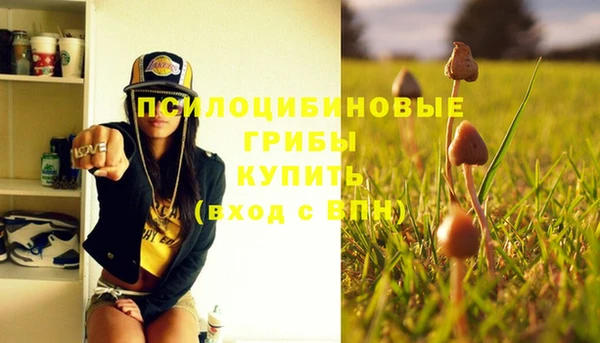 ешки Богородицк