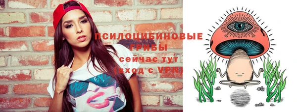 ешки Богородицк