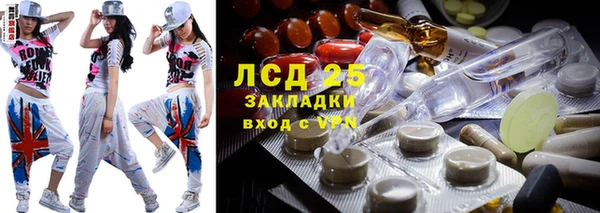 молекула духа Богданович
