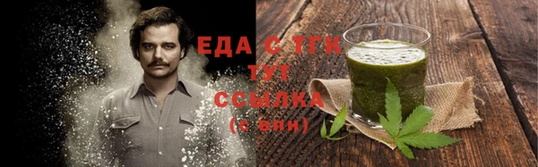 молекула духа Богданович