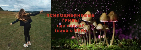 первитин Богородск