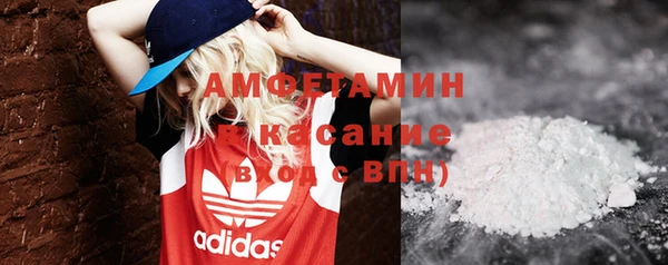 молекула духа Богданович