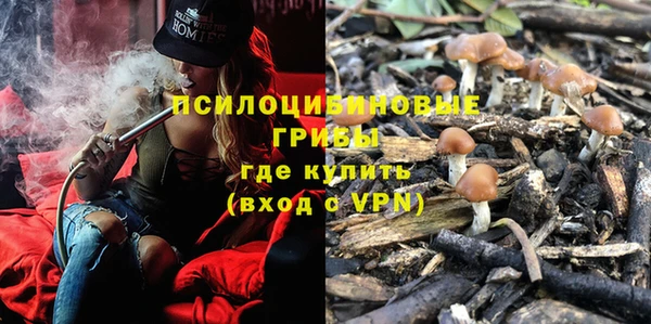 ешки Богородицк
