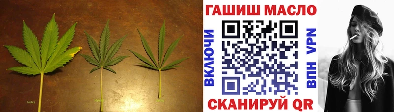 ТГК концентрат Купить где Белёв