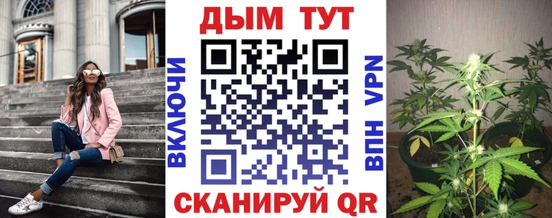 Купить где  Белёв  Каннабис OG Kush 